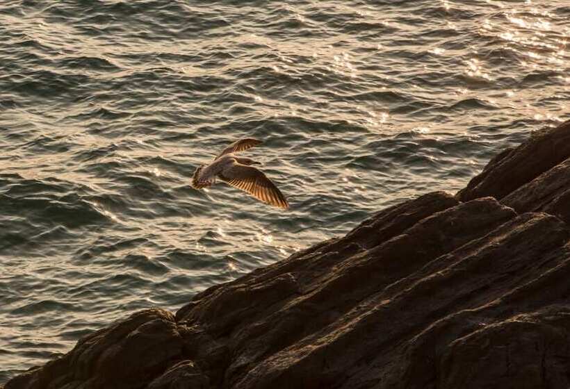 Хостел Terra Prime Suite