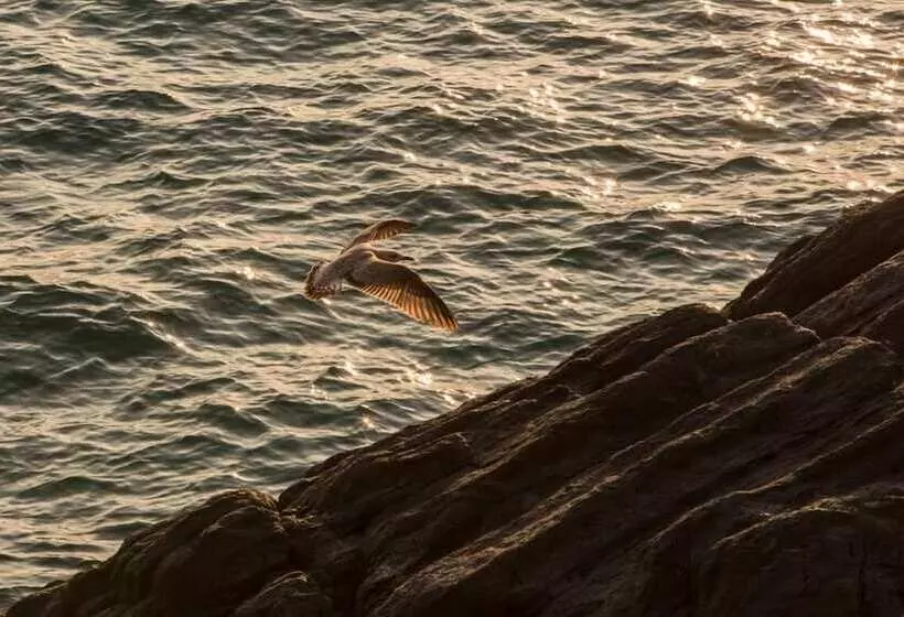 簡易ホテル Terra Prime Suite