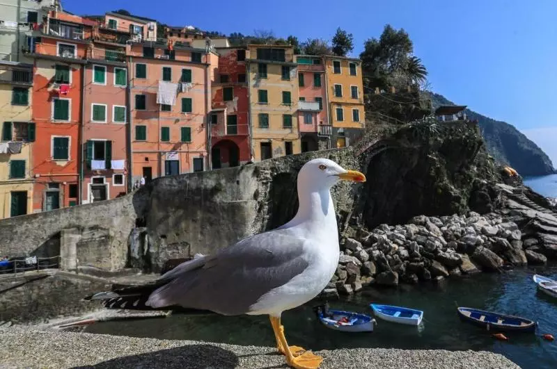 簡易ホテル Terra Prime Suite