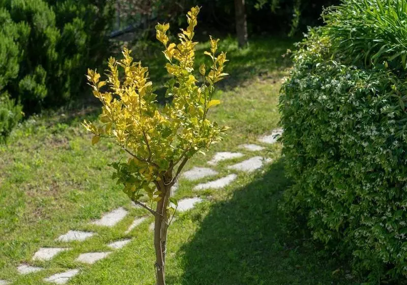 簡易ホテル Terra Prime Suite