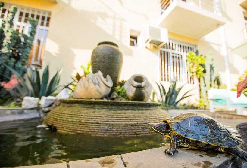 בית מלון כפרי Edem