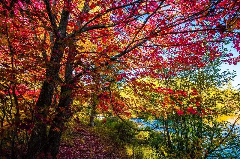 Retkeilymaja Oberge Inn Val David