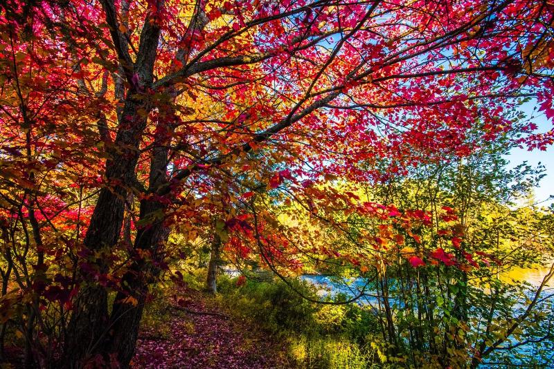 호스텔 Oberge Inn Val David