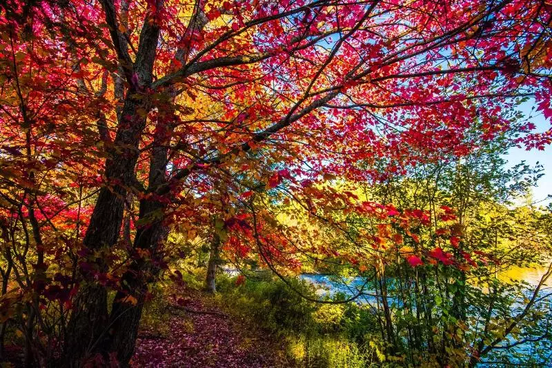 Retkeilymaja Oberge Inn Val David