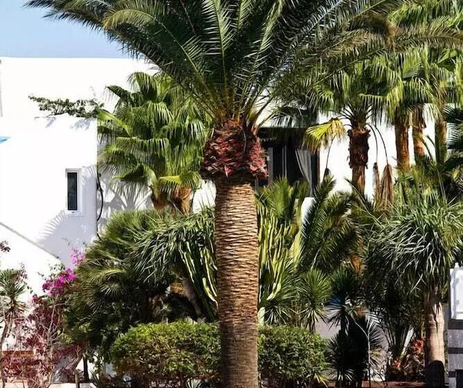 Apartamentos Parque Tropical En Lanzarote