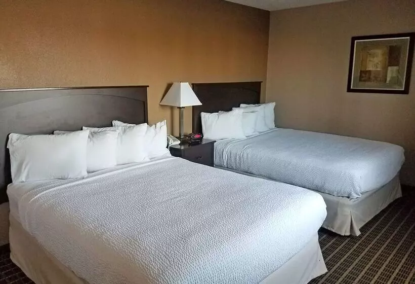 酒店 Americas Best Value Inn And Suites Bismarck