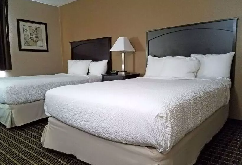 酒店 Americas Best Value Inn And Suites Bismarck
