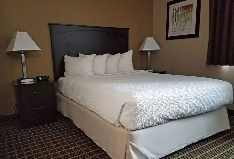 酒店 Americas Best Value Inn And Suites Bismarck