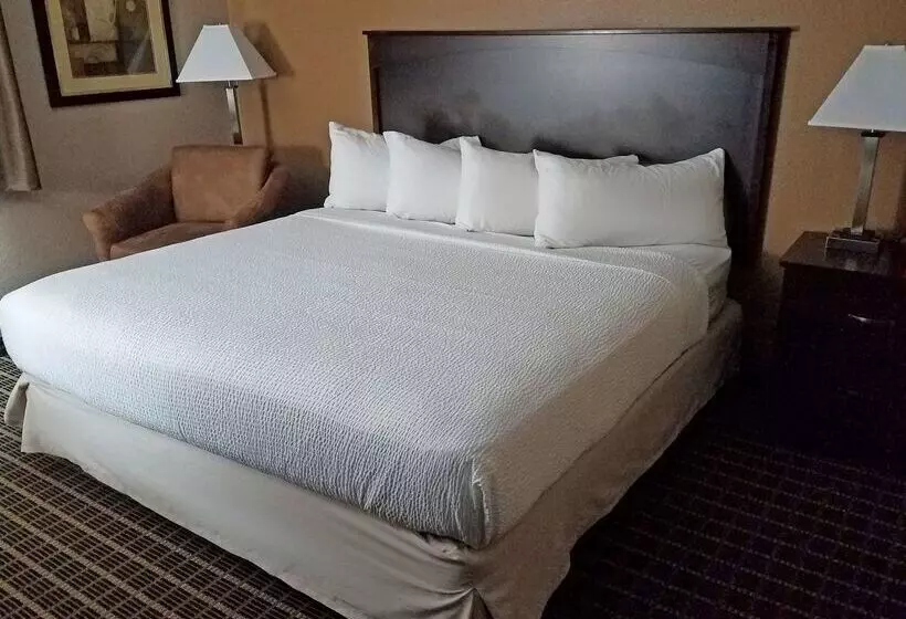 酒店 Americas Best Value Inn And Suites Bismarck