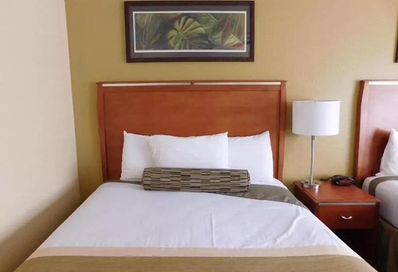 Отель Deer Haven Inn