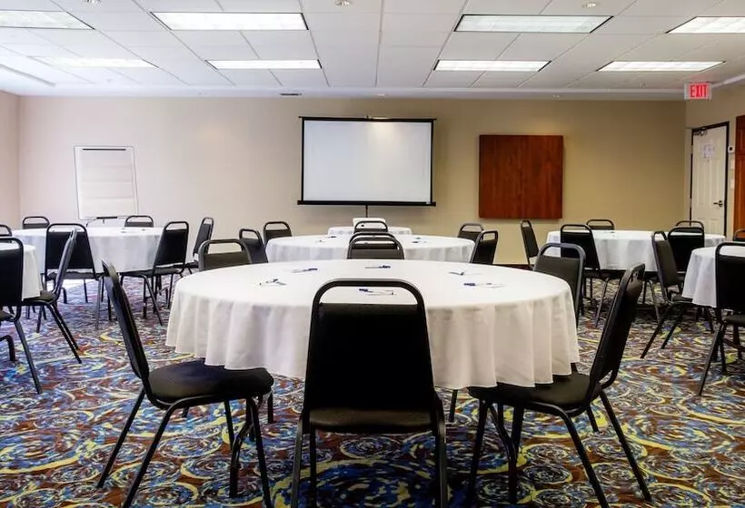 Holiday Inn Express Hotel & Suites Edmonton International Airport, An Ihg