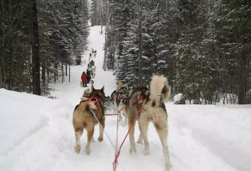 酒店 Auberge Cap Au Leste