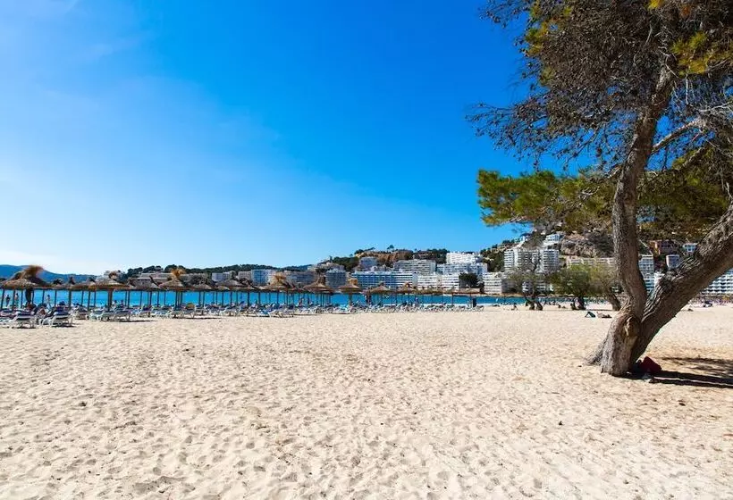 هتل Reverence Life