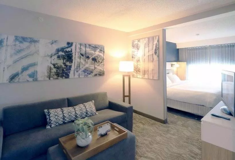 ホテル Springhill Suites Minneapolis Eden Prairie
