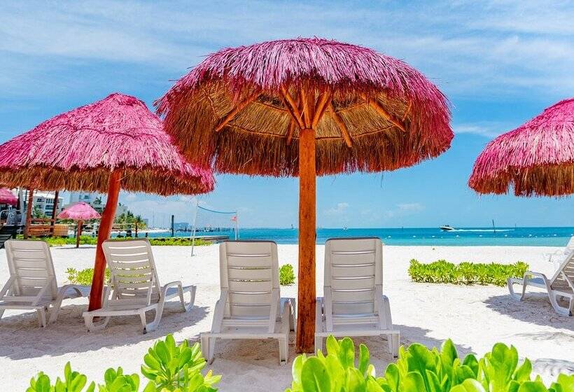 استراحتگاه Oasis Palm