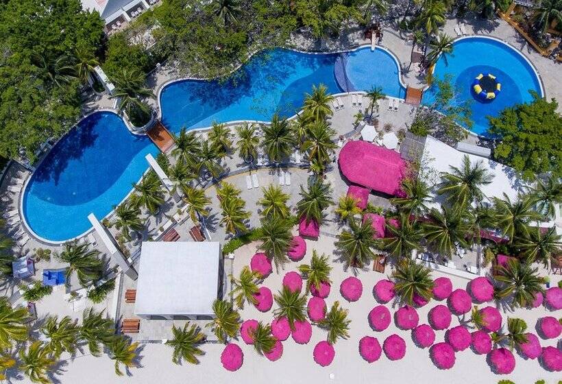 استراحتگاه Oasis Palm