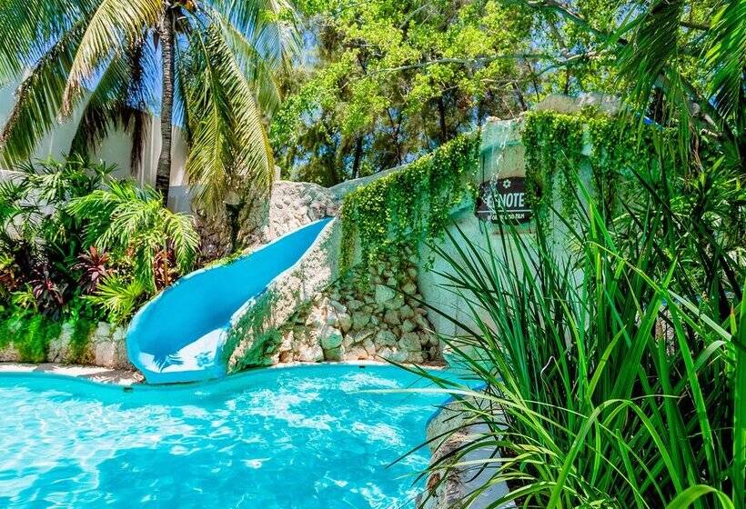 استراحتگاه Oasis Palm