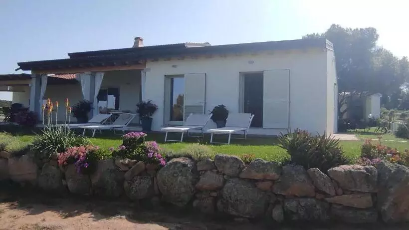B&b Andrieddu