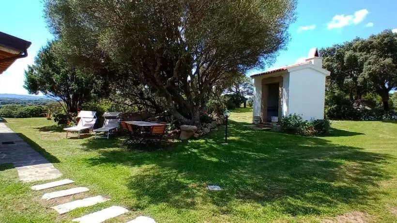 B&b Andrieddu