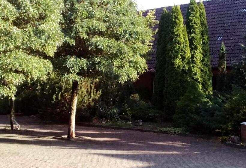 酒店 Leppiner Hof   B&b Frühstückspension