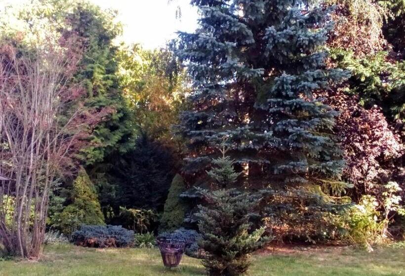 酒店 Leppiner Hof   B&b Frühstückspension