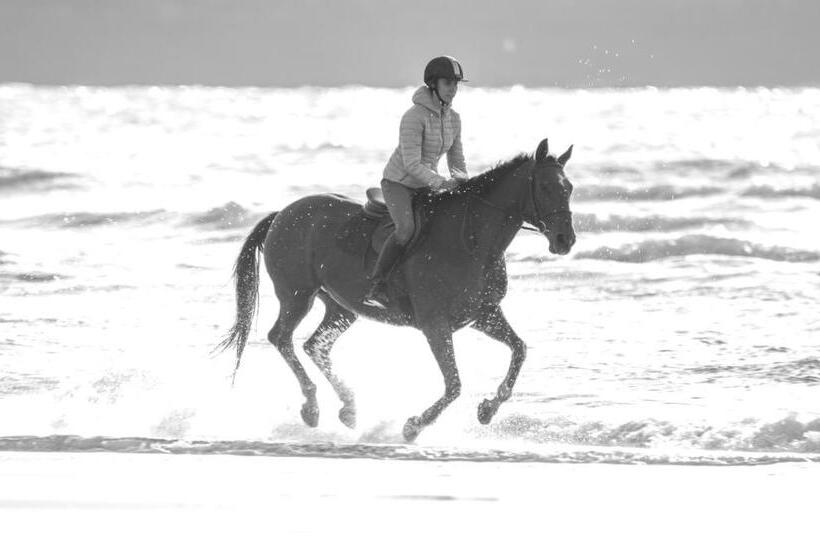 Pensjonat Villa Les Voiles Chambres D Hôtes