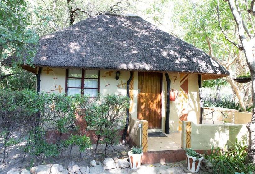 Discovery Bed And Breakfast