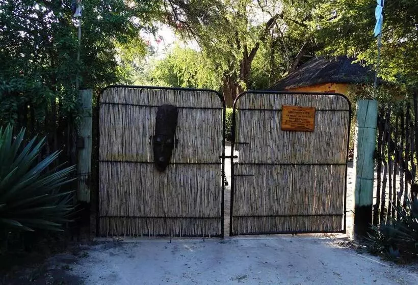 Discovery Bed And Breakfast