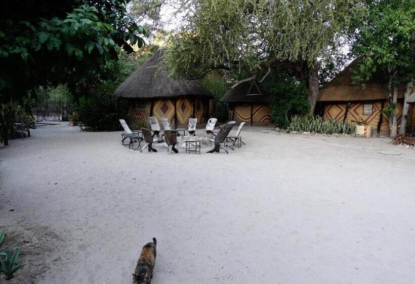 Discovery Bed And Breakfast