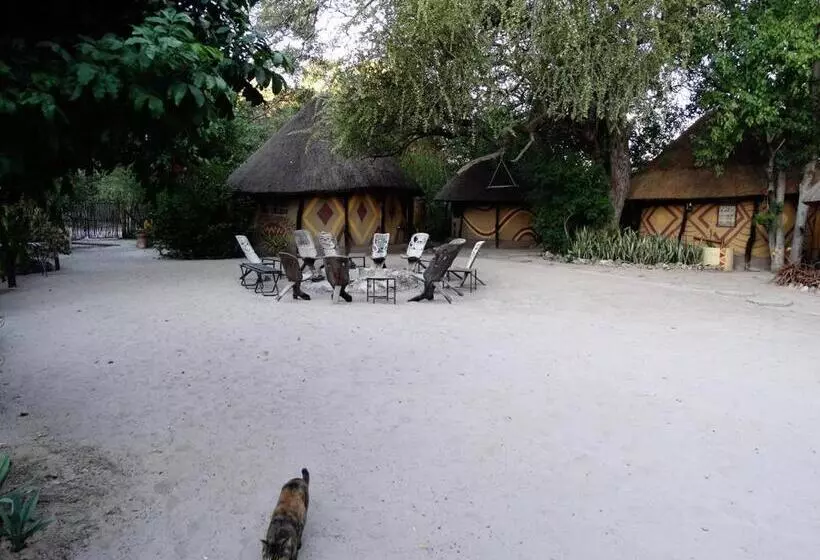 Discovery Bed And Breakfast