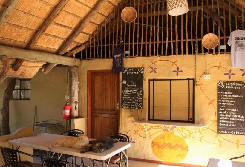 Discovery Bed And Breakfast