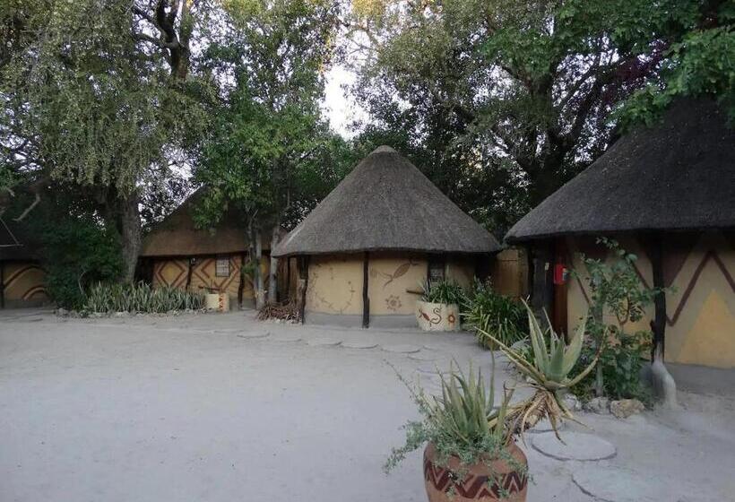 Discovery Bed And Breakfast