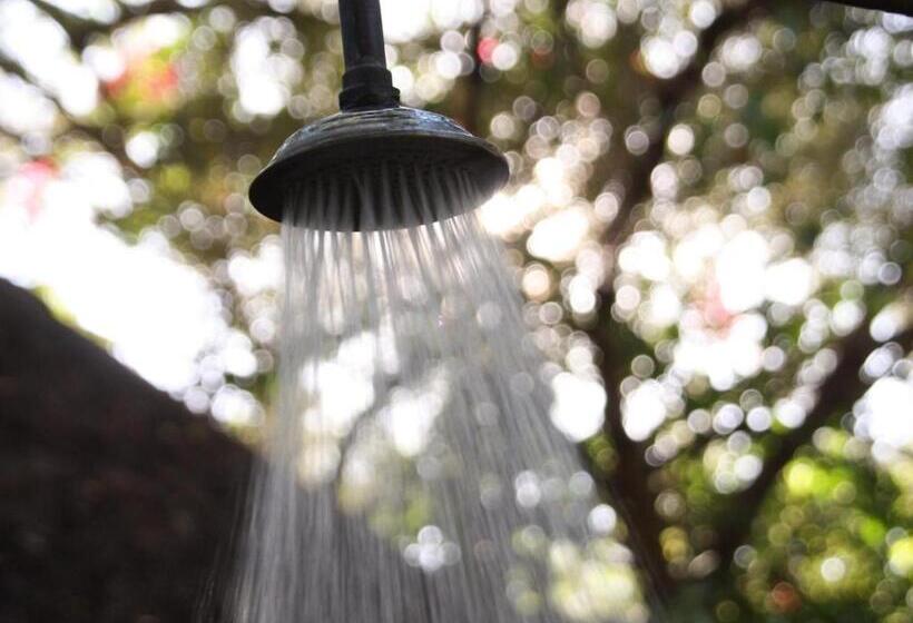 Discovery Bed And Breakfast