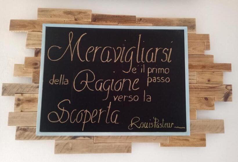 فندق Albergo Medusa