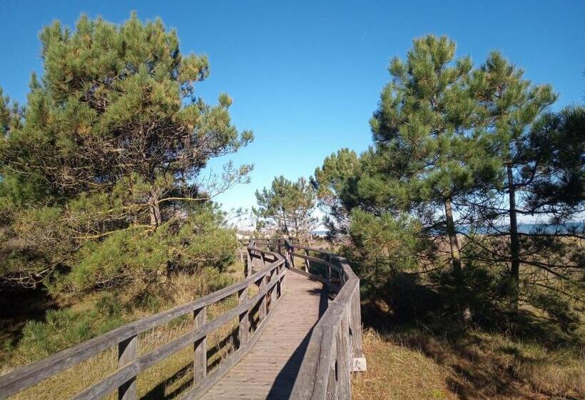 فندق Albergo Medusa