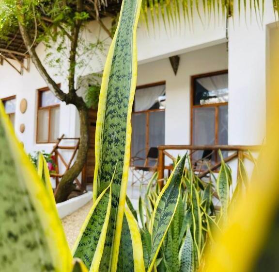 ホテル Babalao Bungalows