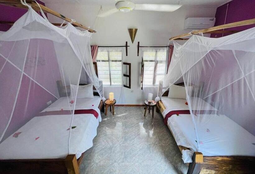 ホテル Babalao Bungalows