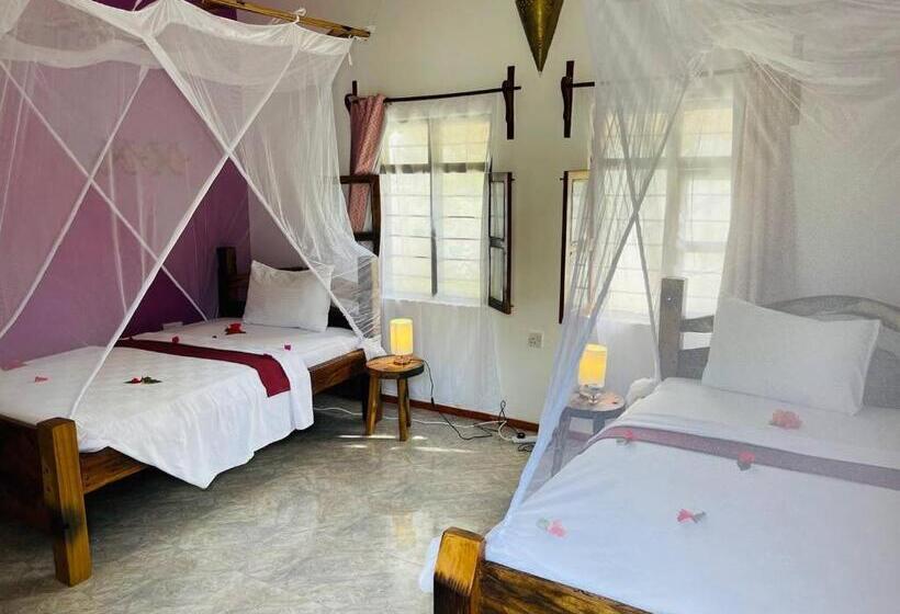 ホテル Babalao Bungalows