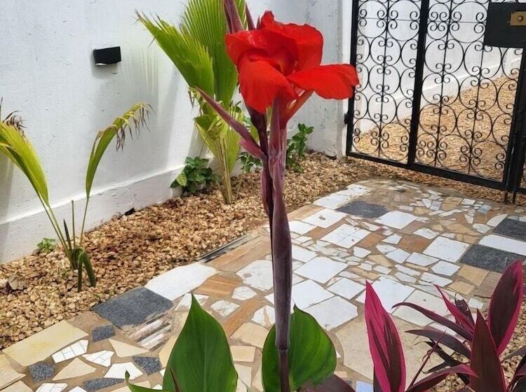 ホテル Babalao Bungalows