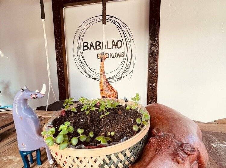 ホテル Babalao Bungalows