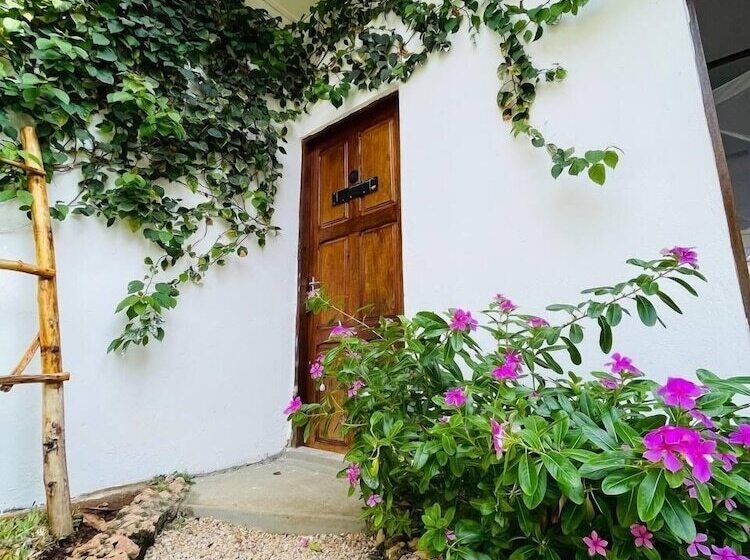 ホテル Babalao Bungalows