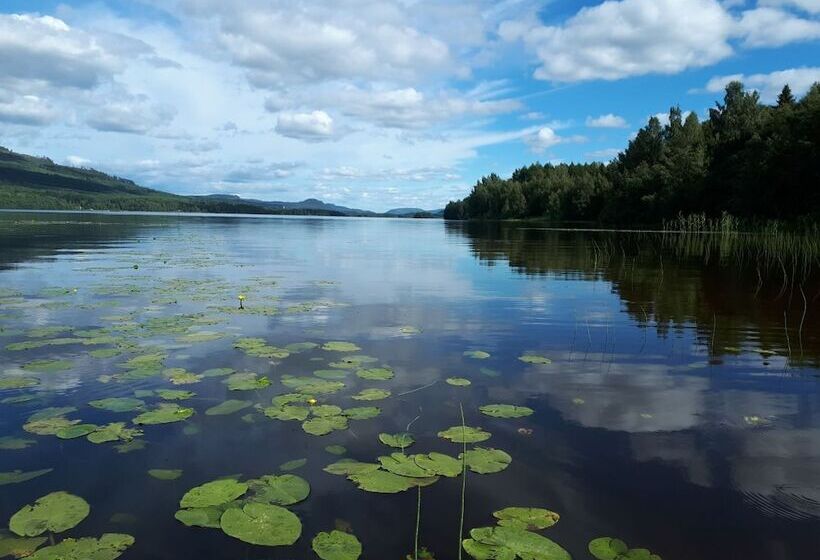 פנסיון öyegården