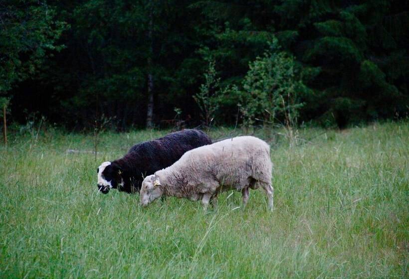 פנסיון öyegården