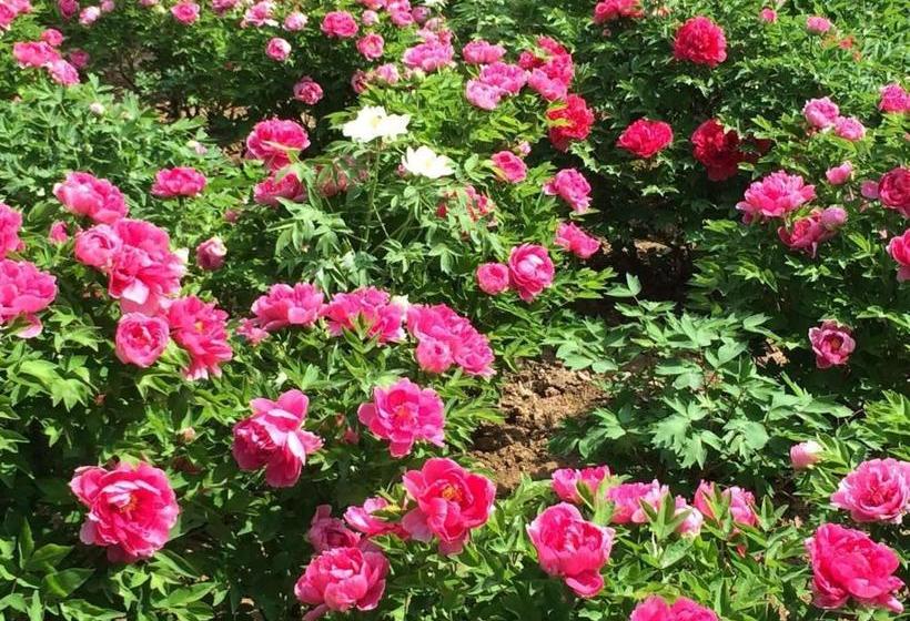 فندق 7days Inn Longmen Grottoes Of Luoyang Kaiyuan Avenue