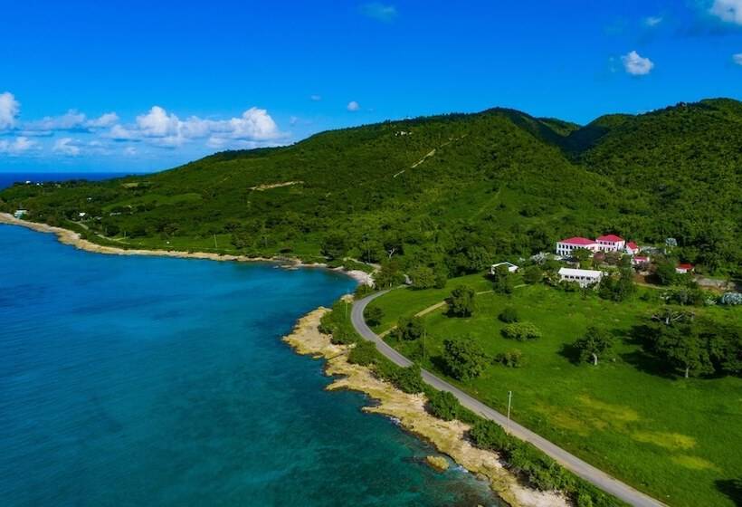 هتل Feather Leaf Inn