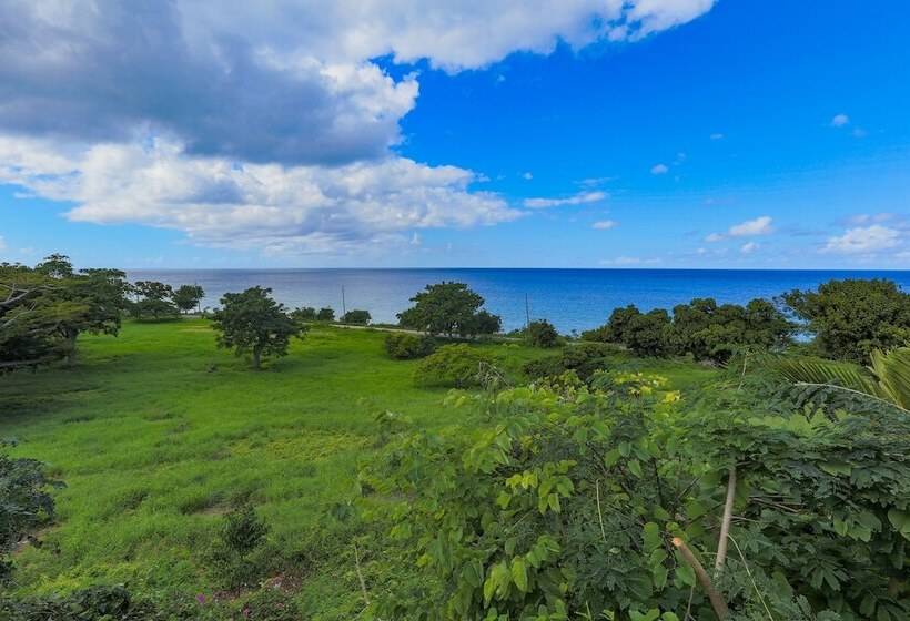 هتل Feather Leaf Inn