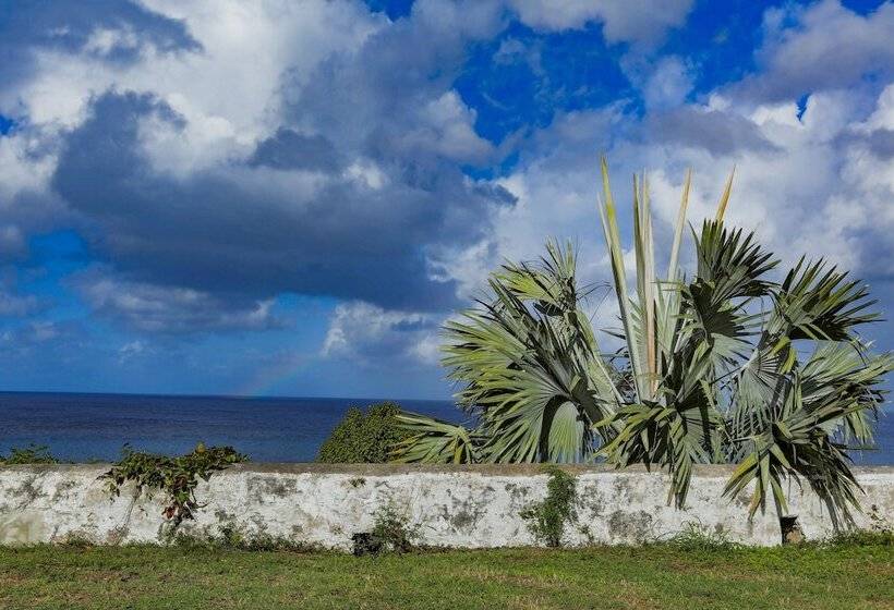 هتل Feather Leaf Inn