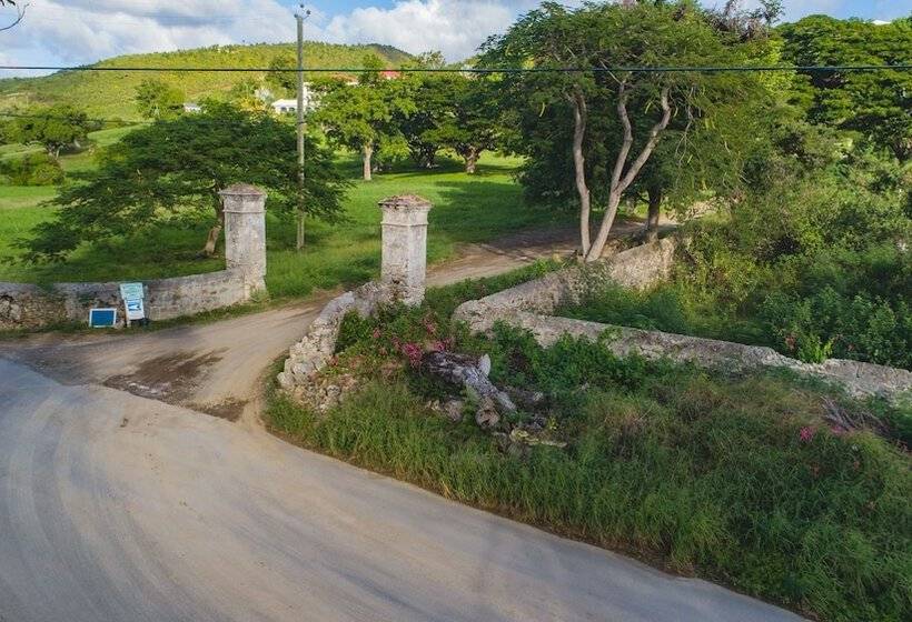 هتل Feather Leaf Inn