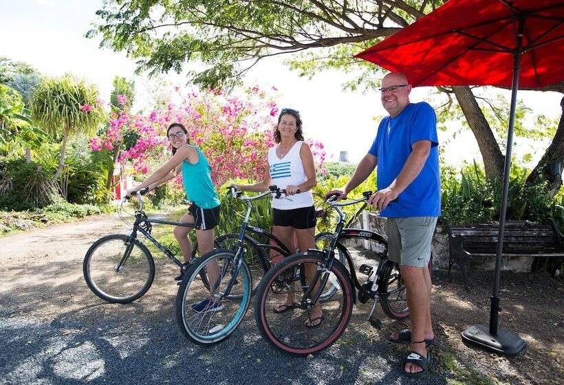 هتل Feather Leaf Inn