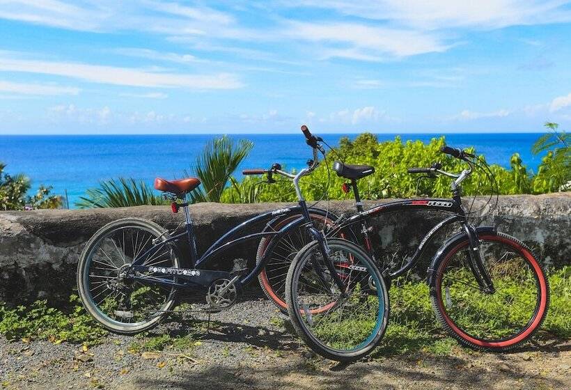 هتل Feather Leaf Inn